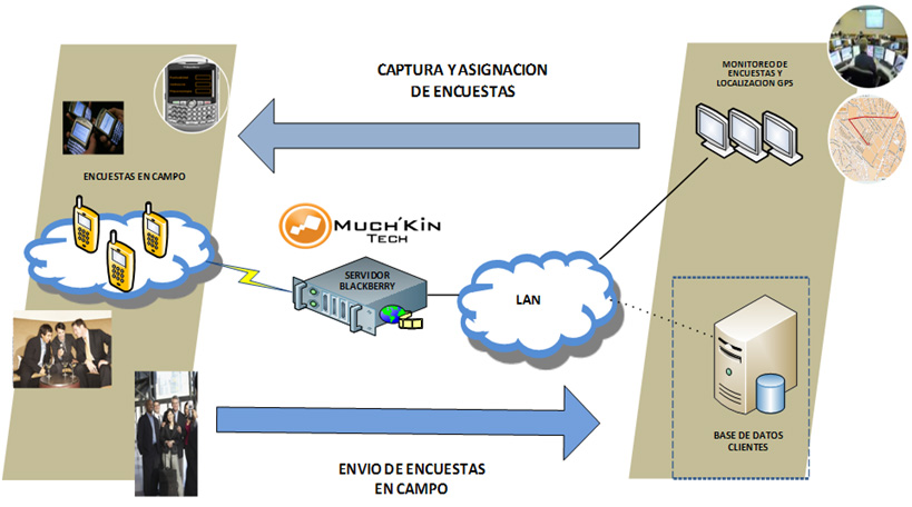 Formas Dinámicas